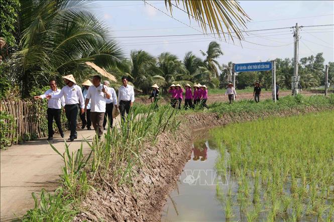 Trong ảnh: Du khách tham qua mô hình “con tôm ôm cây lúa” tại Cồn Chim. Ảnh: Phúc Sơn - TTXVN