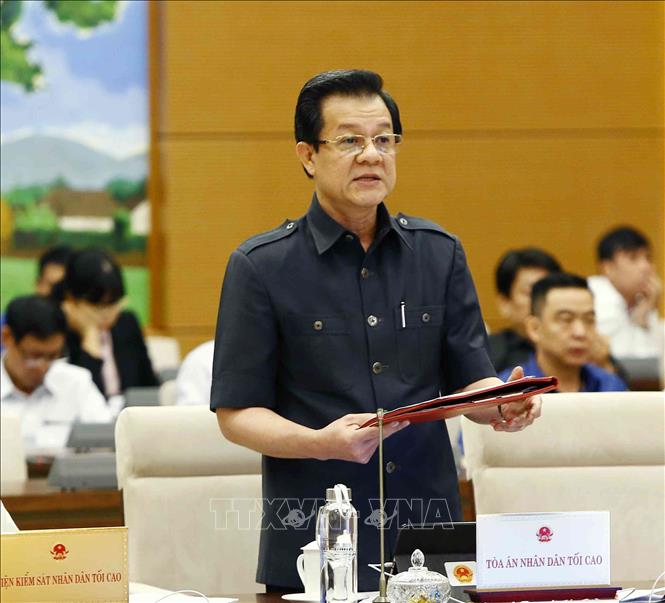 Trong ảnh: Phó Chánh án Tòa án nhân dân tối cao Lê Hồng Quang trình bày báo cáo. Ảnh: Văn Điệp - TTXVN
