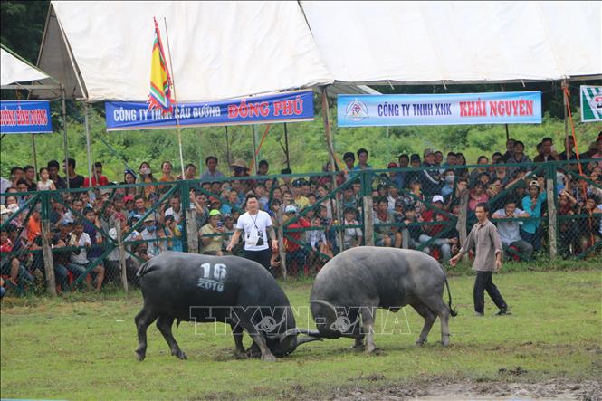 Trong ảnh: Quang cảnh ngày hội. Ảnh: K GỬI H -TTXVN
