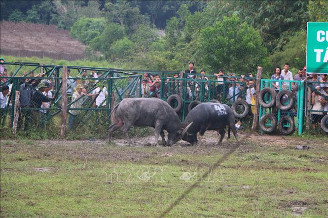 Trong ảnh: Quang cảnh ngày hội. Ảnh: K GỬIH -TTXVN