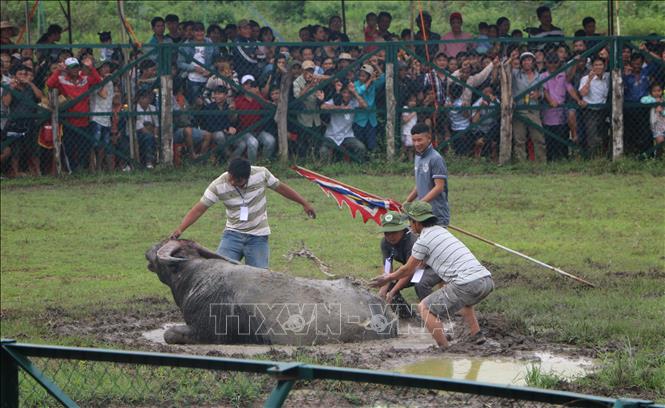Trong ảnh: Đông đảo người dân và du khách theo dõi lễ hội. Ảnh: K GỬIH -TTXVN