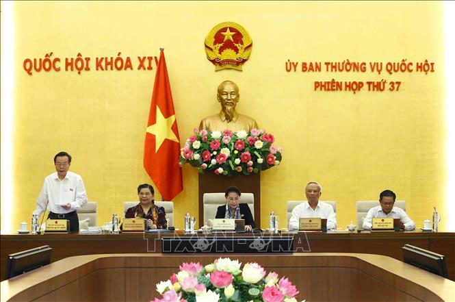 Trong ảnh: Phó Chủ tịch Quốc hội Phùng Quốc Hiển điều hành phiên họp. Ảnh: Văn Điệp – TTXVN 