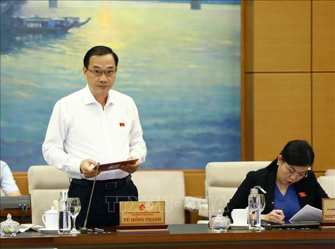Trong ảnh: Chủ nhiệm Ủy ban Kinh tế của Quốc hội Vũ Hồng Thanh trình bày báo cáo thẩm tra. Ảnh: Văn Điệp – TTXVN 