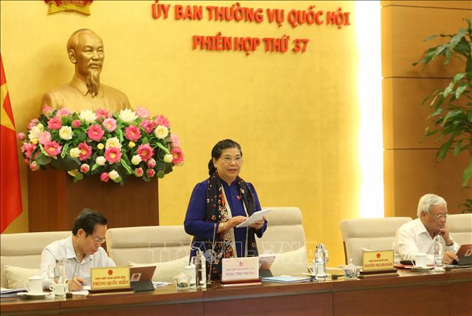 Trong ảnh: Phó Chủ tịch Thường trực Quốc hội Tòng Thị Phòng phát biểu tại phiên họp. Ảnh: Phương Hoa - TTXVN