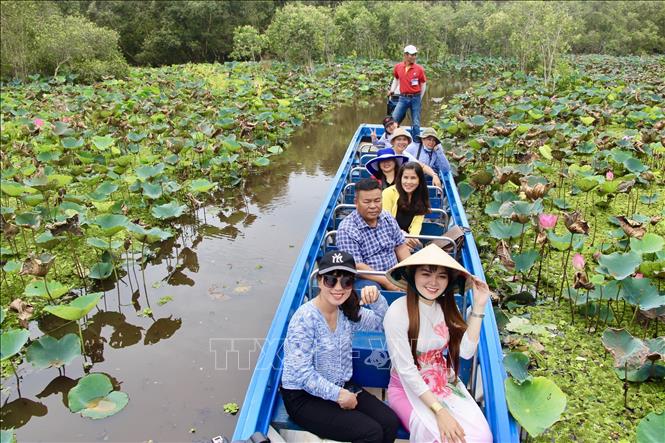 Trong ảnh: Rừng tràm Trà Sư là điểm đến đặc sắc và lý thú nhất dành cho khách du lịch khi đến với An Giang trong mùa nước nổi. Ảnh: Thanh Sang-TTXVN