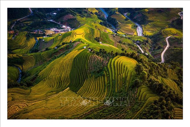 Trong ảnh: Ruộng bậc thang Mù Cang Chải vào mùa lúa chín. Ảnh: Đỗ Tuấn Anh - TTXVN 