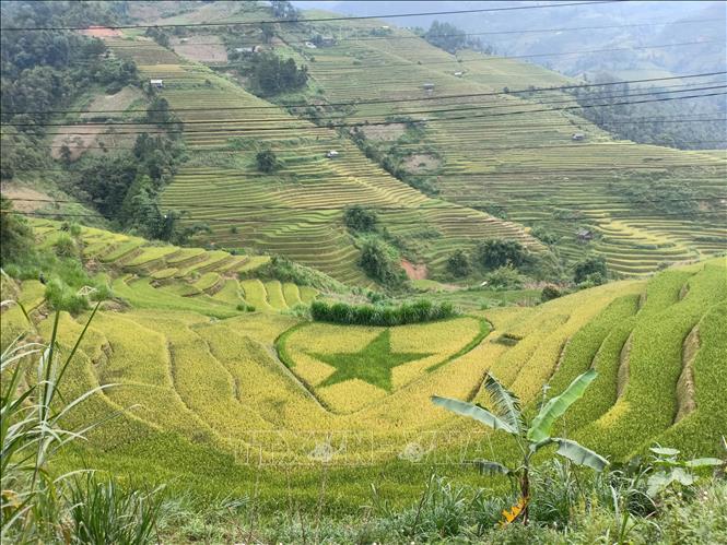 Trong ảnh: Mù Cang Chải là huyện vùng cao của tỉnh Yên Bái với những dãy núi hùng vĩ, trùng điệp và nhiều thửa ruộng bậc thang đẹp như tranh vẽ. Từ cuối tháng 9 đến giữa tháng 10, lúa trên các thửa ruộng bậc thang chuyển sang sắc vàng rực rỡ và đây cũng là thời điểm đẹp nhất trong năm thu hút du khách từ mọi miền về chiêm ngưỡng vẻ đẹp Mù Cang Chải. Ảnh: Việt Dũng - TTXVN