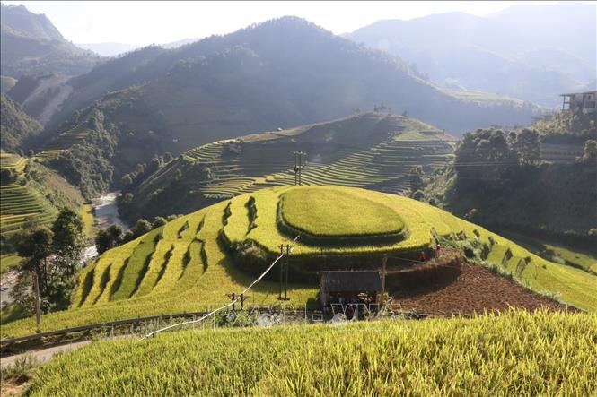 Trong ảnh: Vẻ đẹp ruộng bậc thang đồi Mâm Xôi, xã La Pán Tẩn, huyện Mù Cang Chải (Yên Bái). Ảnh: Việt Dũng – TTXVN