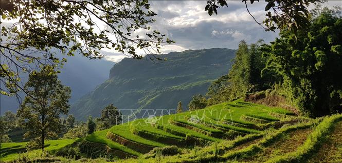 Lên Ý Tý - một xã vùng cao của huyện Bát Xát, tỉnh Lào Cai, du khách sẽ rất ngạc nhiên vì giữa vùng thâm sơn cùng cốc lại có những thửa ruộng bậc thang kỳ vĩ đến mê lòng. Ruộng bậc thang có ở hầu hết huyện Bát Xát, nhưng đẹp nhất là ở Ý Tý, Lao Chải, Ngải Thầu... Ảnh: Quốc Khánh - TTXVN