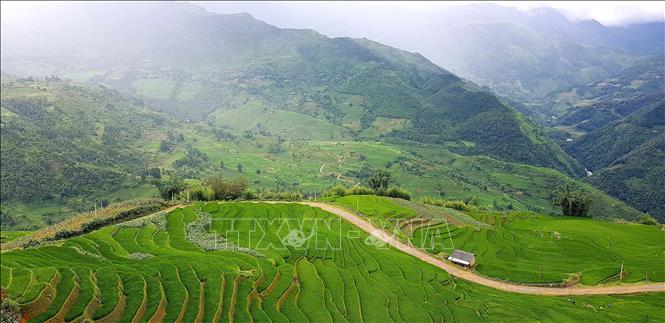 Lên Ý Tý - một xã vùng cao của huyện Bát Xát, tỉnh Lào Cai, du khách sẽ rất ngạc nhiên vì giữa vùng thâm sơn cùng cốc lại có những thửa ruộng bậc thang kỳ vĩ đến mê lòng. Ruộng bậc thang có ở hầu hết huyện Bát Xát, nhưng đẹp nhất là ở Ý Tý, Lao Chải, Ngải Thầu... Ảnh: Quốc Khánh - TTXVN