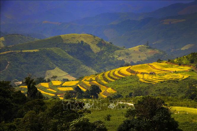 Trong ảnh: Những thửa ruộng bậc thang là đặc trưng ở huyện vùng cao Điện Biên Đông, tỉnh Điện Biên. Ảnh: Xuân Tư – TTXVN