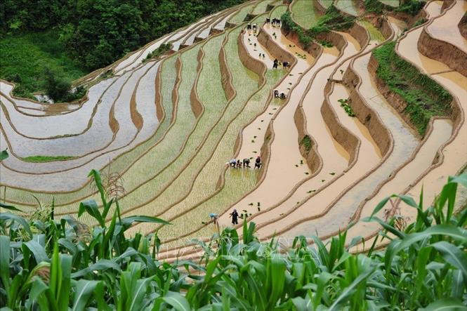Trong ảnh: Vẻ đẹp thơ mộng trên các thửa ruộng bậc thang huyện Mù Cang Chải, tỉnh Yên Bái trong mùa nước đổ. Ảnh: Thanh Hà - TTXVN