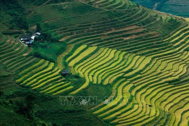 Trong ảnh: Vẻ đẹp của những thửa ruộng bậc thang ở các xã Du Già, Mậu Duệ, huyện Yên Minh, tỉnh Hà Giang. Ảnh: Trọng Đạt – TTXVN