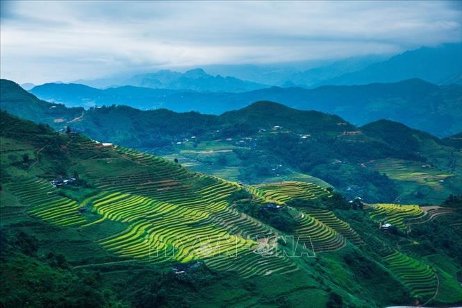 Trong ảnh: Nét đẹp riêng biệt của ruộng bậc thang trên cung đường Mậu Duệ - Du Già hứa hẹn sẽ mang lại nhiều thú vị cho du khách khi khám phá vẻ đẹp của huyện Yên Minh, tỉnh Hà Giang. Ảnh: Trọng Đạt – TTXVN