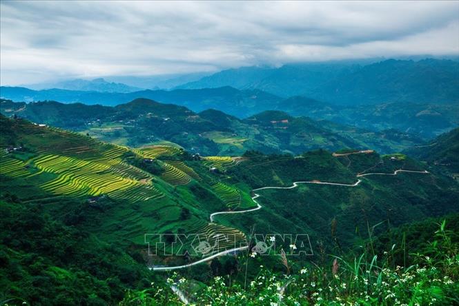 Trong ảnh: Nét đẹp riêng biệt của những thửa ruộng bậc thang trên cung đường Mậu Duệ - Du Già hứa hẹn sẽ mang lại nhiều thú vị cho du khách khi khám phá vẻ đẹp của huyện Yên Minh, tỉnh Hà Giang. Ảnh: Trọng Đạt – TTXVN