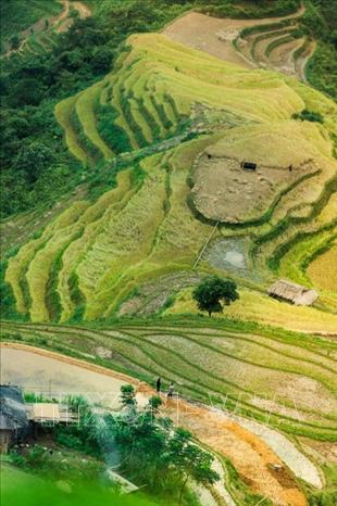 Trong ảnh: Vẻ đẹp của những thửa ruộng bậc thang ở huyện Yên Minh, tỉnh Hà Giang. Ảnh: Trọng Đạt – TTXVN