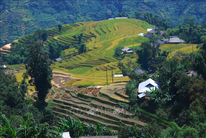 Trong ảnh: Ruộng bậc thang Hoàng Su Phì (Hà Giang). Ảnh: Minh Tâm-TTXVN