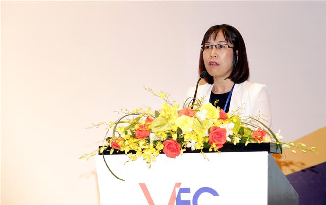 Trong ảnh: Bà Vi Thị Hồng Minh, Phó giám đốc Văn phòng giới sử dụng lao động (của VCCI) phát biểu tại Hội thảo. Ảnh: Anh Tuấn – TTXVN