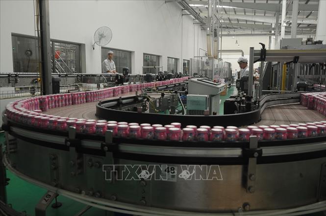 Trong ảnh: Dây chuyền sản xuất sữa chua tiệt trùng Susu Vinamilk sử dụng công nghệ của hãng Boss (Đức), công suất 36.000 chai/giờ, tại Nhà máy sữa Lam Sơn (thuộc Công ty Cổ phần Sữa Việt Nam – Vinamilk) đóng trên địa bàn tỉnh Thanh Hóa. Ảnh: TTXVN phát