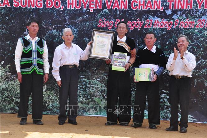 Trong ảnh: Hội Bảo vệ Thiên nhiên và Môi trường Việt Nam trao Bằng công nhận quần thể Cây Di sản Việt Nam chè Shan tuyết Giàng Pằng cho xã Sùng Đô, huyện Văn Chấn (Yên Bái). Ảnh: TTXVN phát