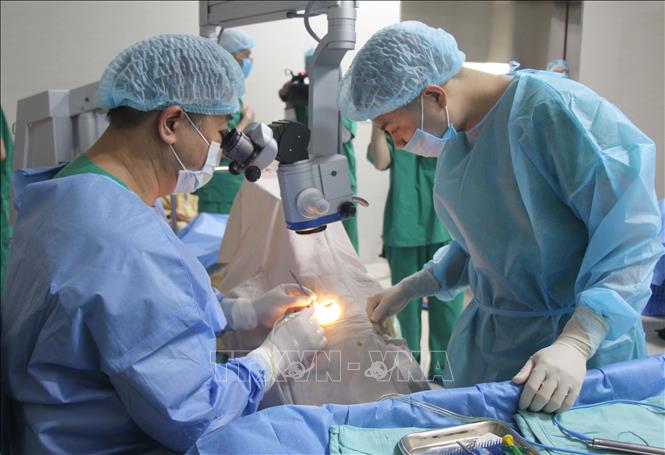 Trong ảnh: Hội Người cao tuổi tỉnh Bắc Giang phối hợp với bệnh viện Mắt Quốc tế DND Bắc Giang tổ chức khám và phẫu thuật mắt miễn phí cho người cao tuổi, ngày 29/3/2019. Ảnh: Đồng Thúy - TTXVN