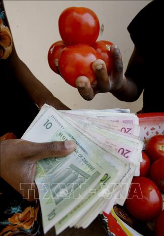 Trong ảnh (tư liệu): Người dân trả tiền để mua cà chua tại Harare, Zimbabwe, ngày 21/9/2008. Ảnh: AFP/ TTXVN