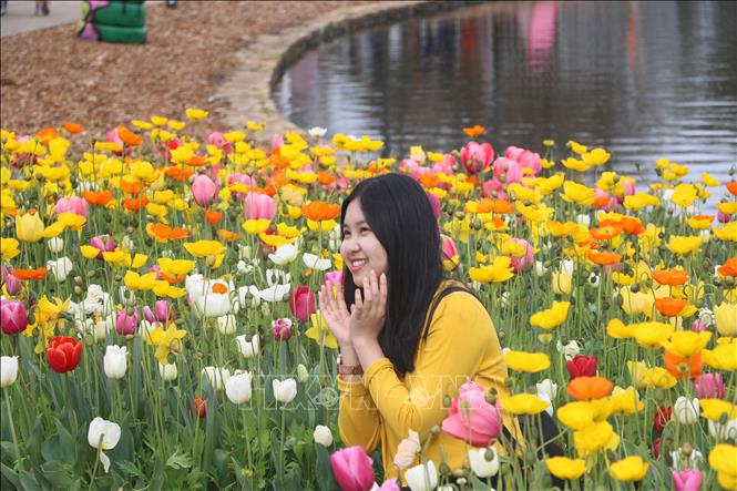 Trong ảnh: Một bạn trẻ không bỏ lỡ cơ hội để có bức ảnh đẹp tại lễ hội. Ảnh: Nguyễn Minh - Pv TTXVN tại Australia   
