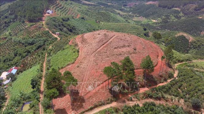 Trong ảnh: Hiện trường vụ việc tại tiểu khu 261B, địa bàn xã Nam Hà, huyện Lâm Hà. Ảnh: Đặng Tuấn - TTXVN  