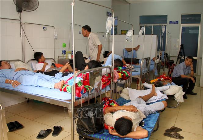 Quảng Bình: Bệnh sốt xuất huyết bùng phát, nhiều bệnh viện quá tải ...