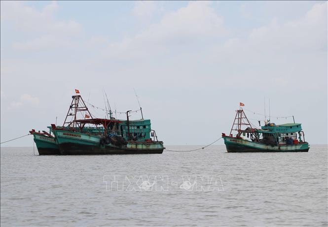 Trong ảnh: Tàu neo đậu bên ngoài cửa biển Khánh Hội, huyện U Minh chờ bán hải sản. Ảnh: Thế Anh-TTXVN