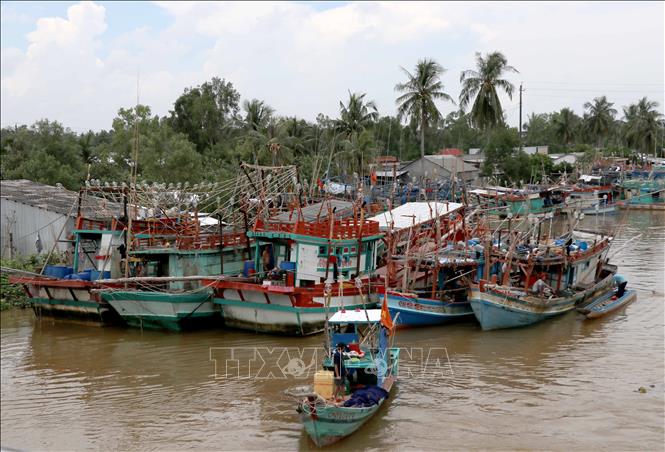 Trong ảnh: Cửa biển Khánh Hội bị bồi lắng ảnh hưởng lớn đến hoạt động giao thương của người dân. Ảnh: Thế Anh-TTXVN