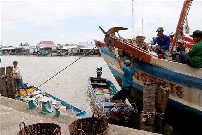 Trong ảnh: Hoạt động thu mua hải sản của các doanh nghiệp đều phải dựa vào xuồng máy nhỏ mới có thể ra cửa biển thua mua. Ảnh: Thế Anh-TTXVN