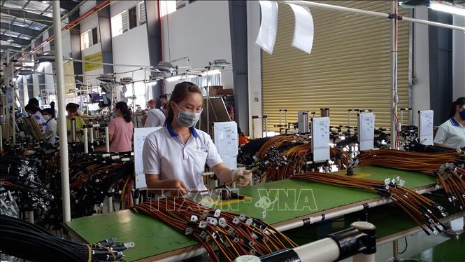 Trong ảnh: Sản xuất dây cáp điện ô tô tại Công ty TNHH Dongjin Global (KCN Đất Đỏ I, huyện Đất Đỏ). Ảnh: Hoàng Nhị - TTXVN