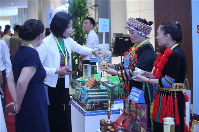 Trong ảnh: Các đại biểu tham quan các gian hàng trưng bày sản phẩm của các hợp tác xã. Ảnh: Danh Lam - TTXVN