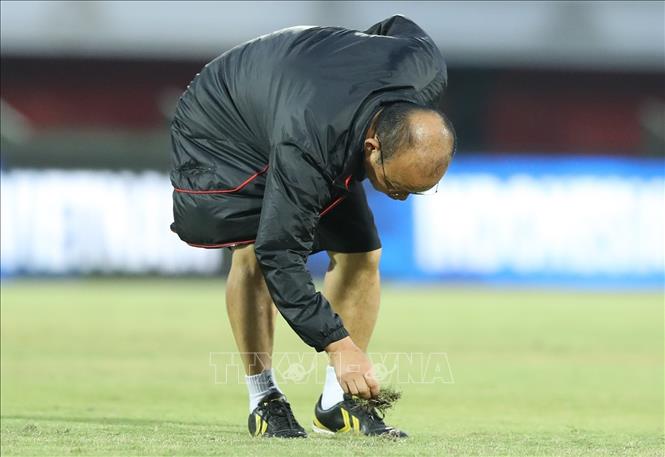 HLV Park Hang Seo đích thân dặm lại mặt cỏ trên sân. Ảnh: Hoàng Linh - TTXVN