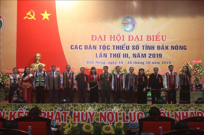 Trong ảnh: Đoàn đại biểu tỉnh Đắk Nông dự Đại hội đại biểu các dân tộc toàn quốc. Ảnh: Ngọc Minh - TTXVN