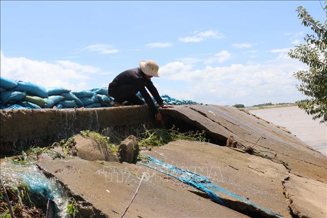Trong ảnh: Đoạn đê qua xã Quảng Điền, huyện Krông Ana bị sụt lún nghiêm trọng. Ảnh: Tuấn Anh - TTXVN