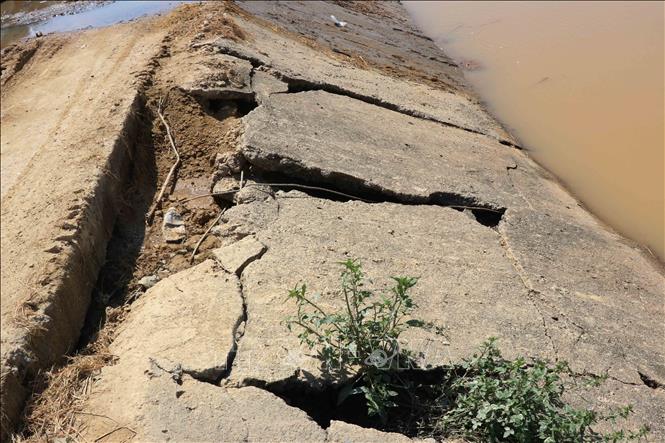 Trong ảnh: Đoạn đê qua xã Quảng Điền, huyện Krông Ana bị sạt lở nghiêm trọng. Ảnh: Tuấn Anh - TTXVN