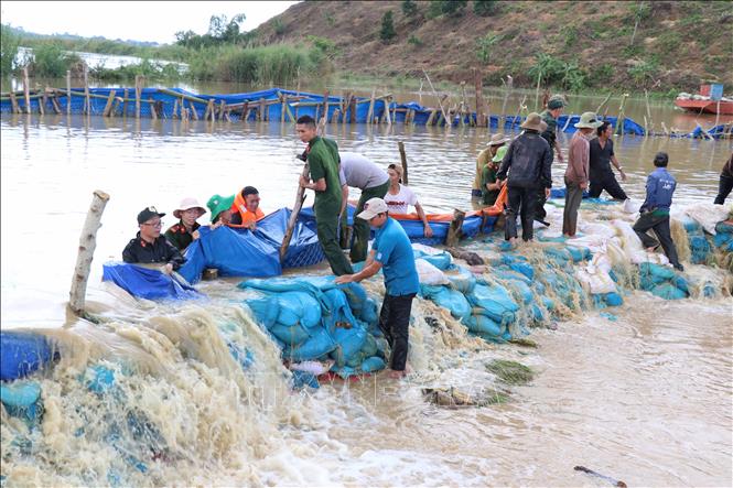 Trong ảnh: Một đoạn đê đầu nguồn qua xã Quảng Điền, huyện Krông Ana bị vỡ gây ngập hàng trăm ha lúa vào tháng 8/2019. Ảnh: Tuấn Anh - TTXVN
