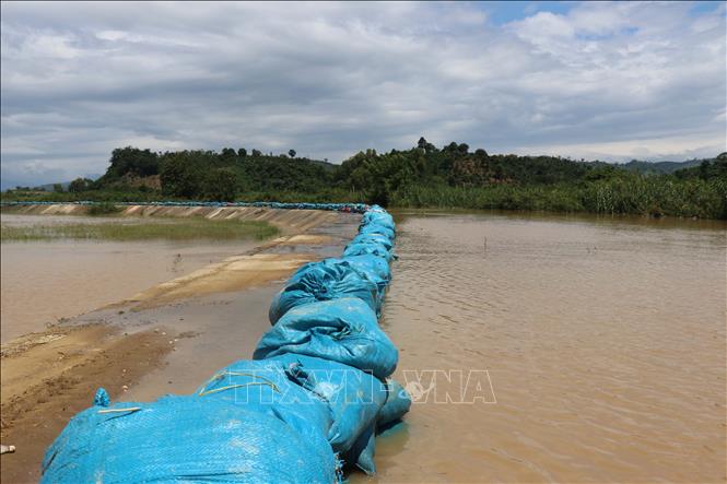 Trong ảnh: Người dân xã Quảng Điền phải dùng bao cát đắp hàng km để ngăn nước sông tràn qua đê. Ảnh: Tuấn Anh - TTXVN
