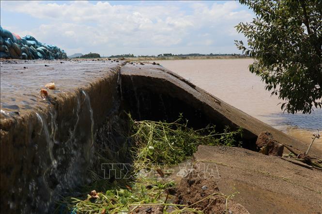 Trong ảnh: Đoạn đê qua xã Quảng Điền, huyện Krông Ana bị sạt lở nghiêm trọng. Ảnh: Tuấn Anh - TTXVN