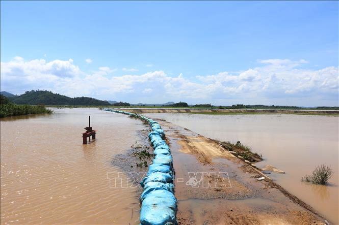 Trong ảnh: Người dân xã Quảng Điền phải dùng bao cát đắp hàng km để ngăn nước sông tràn qua đê. Ảnh: Tuấn Anh - TTXVN