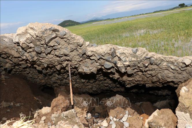 Trong ảnh: Đoạn đê qua xã Quảng Điền, huyện Krông Ana bị sạt lở nghiêm trọng. Ảnh: Tuấn Anh - TTXVN