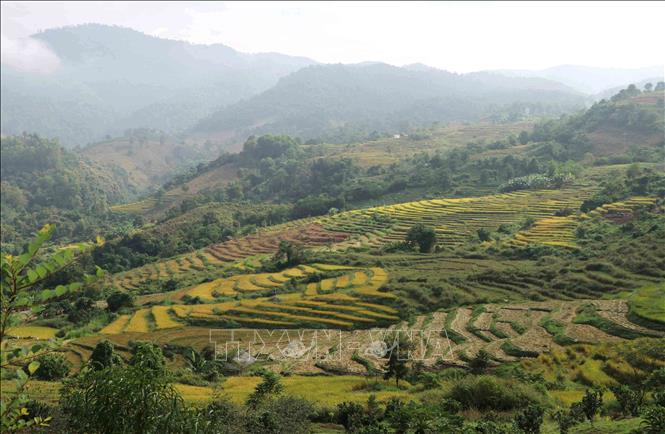 Trong ảnh: Ruộng bậc thang của người dân xã Tà Lèng nằm trên triền núi Pú Phạ, thuộc cung đường du lịch Noong Bua- Mường Phăng. Ảnh: Xuân Tiến - TTXVN