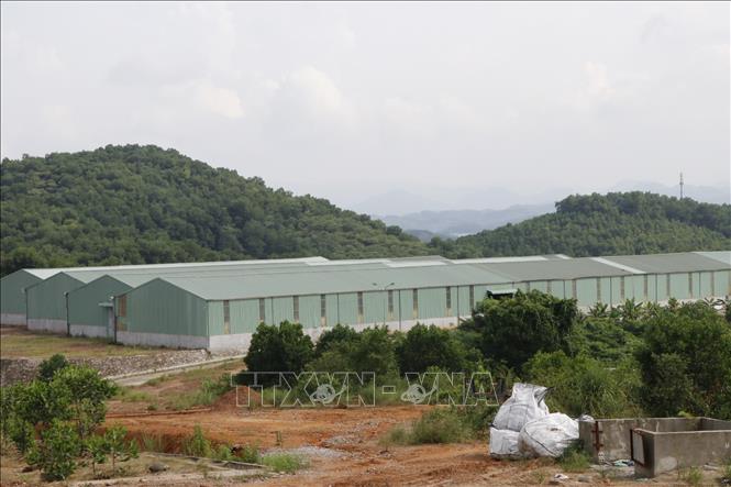 Trong ảnh: Khu sản xuất của Nhà máy tuyển quặng Graphite Báo Đáp, huyện Trấn Yên (Yên Bái). Ảnh: Đức Tưởng-TTXVN