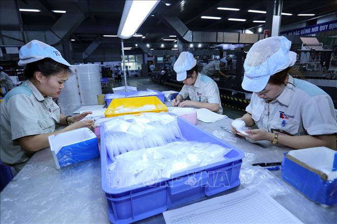 Trong ảnh: Sản xuất bao bì tại Công ty. Ảnh: Danh Lam – TTXVN