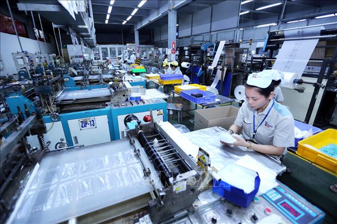 Trong ảnh: Dây chuyền sản xuất bao bì của Công ty. Ảnh: Danh Lam – TTXVN