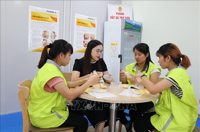 Trong ảnh: Hướng dẫn kiến thức nuôi con bằng sữa mẹ cho công nhân Công ty Vinatech Vina. Ảnh: Đinh Văn Nhiều-TTXVN