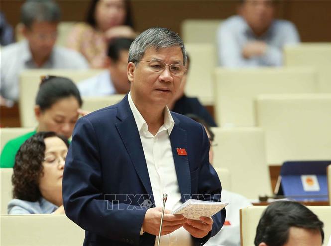Trong ảnh: Đại biểu Quốc hội Thành phố Hà Nội Nguyễn Anh Trí phát biểu ý kiến. Ảnh: Doãn Tấn - TTXVN