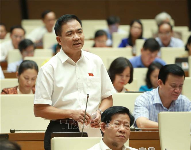 Trong ảnh: Đại biểu Quốc hội Thành phố Hồ Chí Minh Nguyễn Văn Đức phát biểu ý kiến. Ảnh: Doãn Tấn - TTXVN